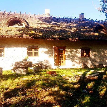Paali Cottages Tornimae 외부 사진