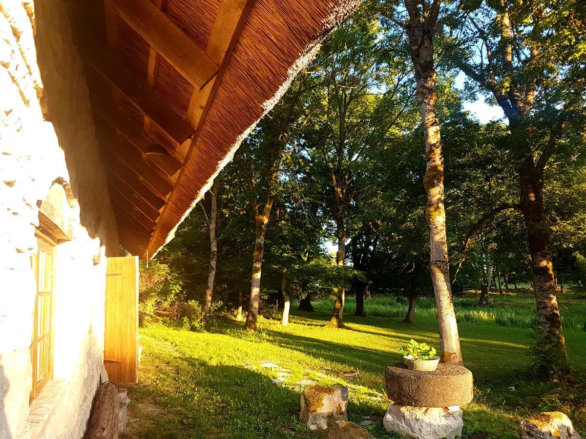 Paali Cottages Tornimae 외부 사진
